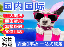漠河空运国际宠物托运 【国